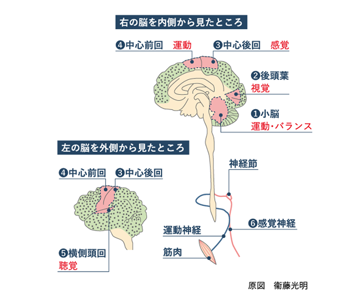 2025年度の解析結果
